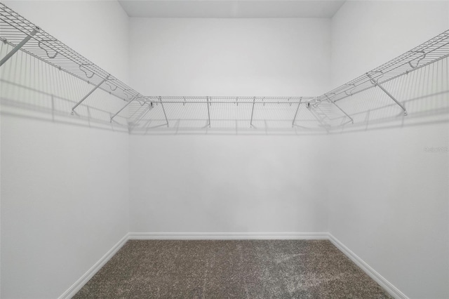 2152 Rock Maple Bnd, Kissimmee, FL 34746 - spacious closet featuring carpet flooring