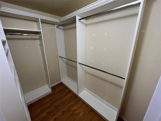 200 4th Ave S Unit 231, Saint Petersburg, FL 33701 - photo 14