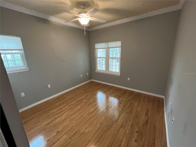 200 4th Ave S Unit 231, Saint Petersburg, FL 33701 - photo 17
