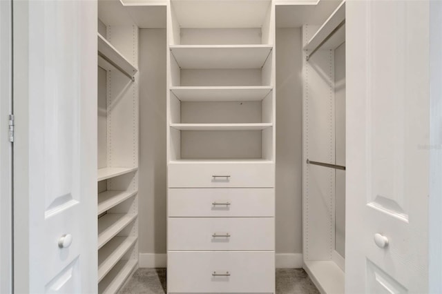 view of walk in closet
