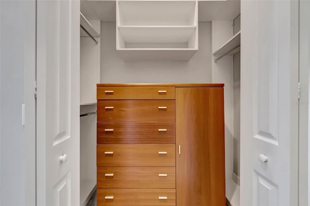 view of walk in closet
