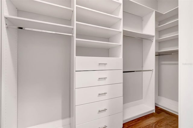 spacious closet featuring wood finished floors