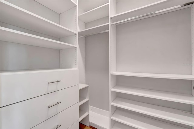 view of spacious closet