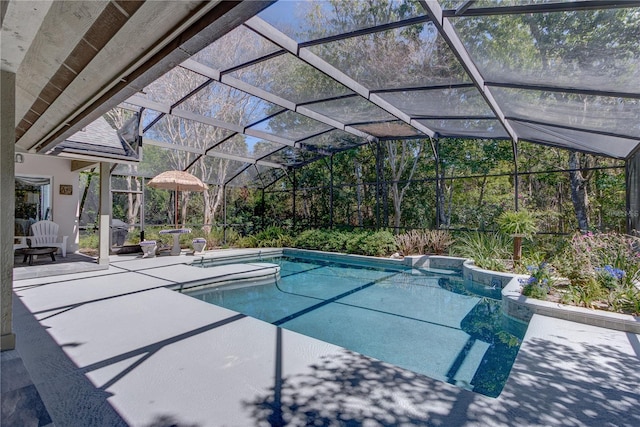 outdoor pool featuring a patio and a lanai
