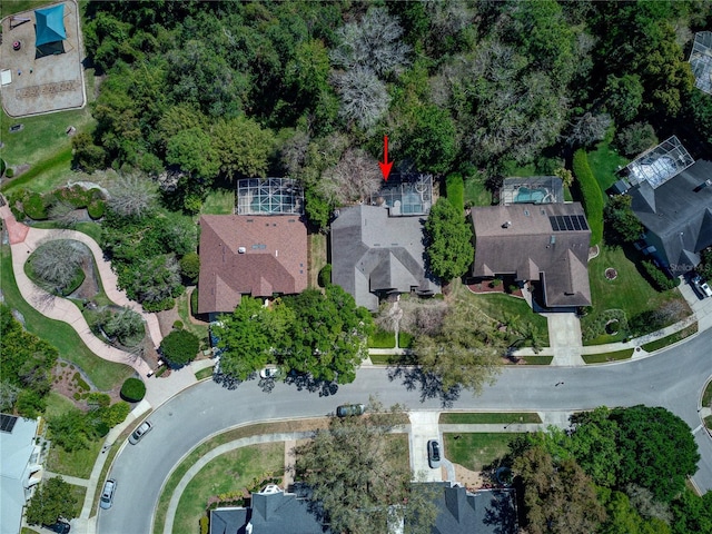 bird's eye view