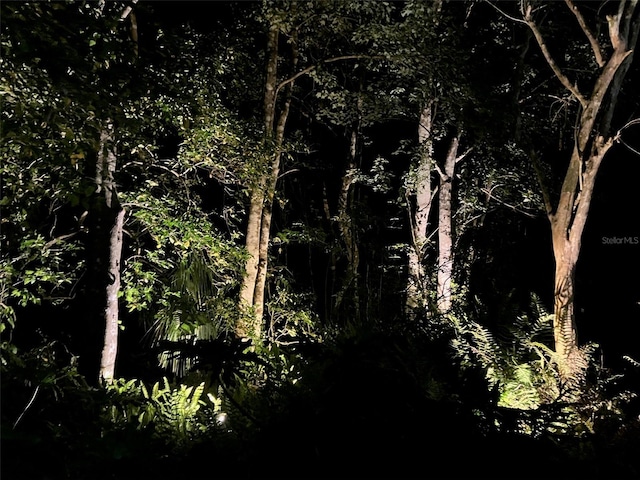 view of nature