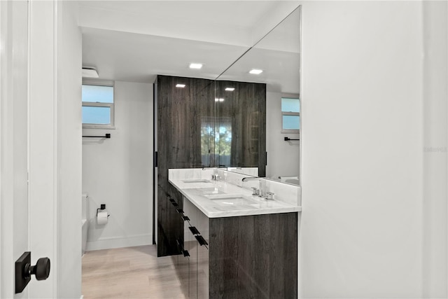 bathroom with double vanity, wood finished floors, baseboards, and a sink