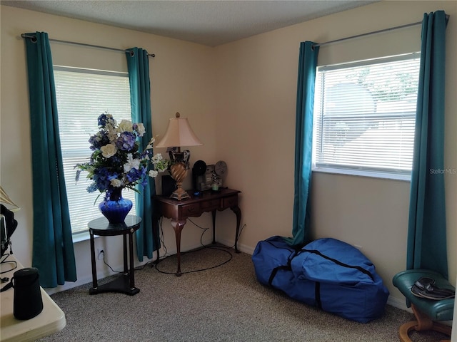 miscellaneous room featuring carpet floors and baseboards