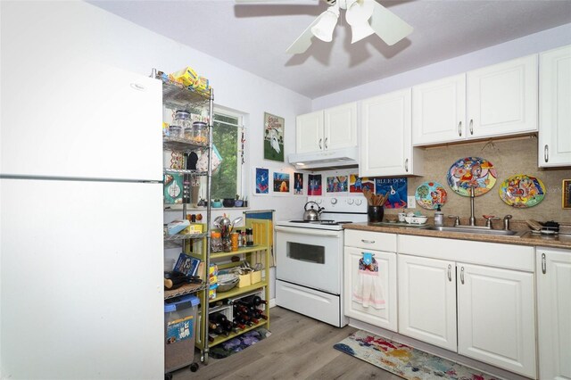 7761 Hillcrest Ter, Orlando, FL 32810 - photo 11