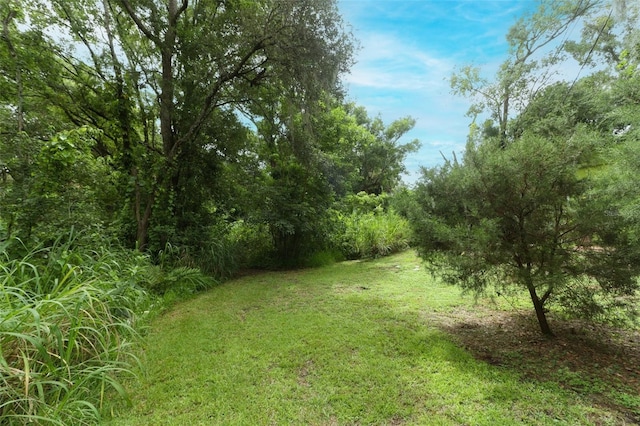 7761 Hillcrest Ter, Orlando, FL 32810 - photo 26