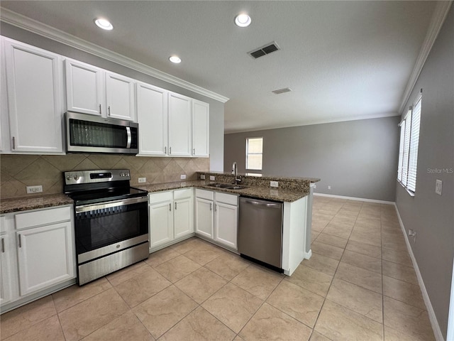 191 Chickasaw Berry Rd, Ocoee, FL 34761 - kitchen featuring appliances with stainless steel finishes, ornamental molding, a sink, tasteful backsplash, and a peninsula