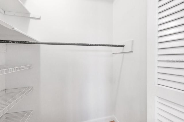 5763 Saint Christopher Dr Unit 55, Orlando, FL 32822 - view of spacious closet