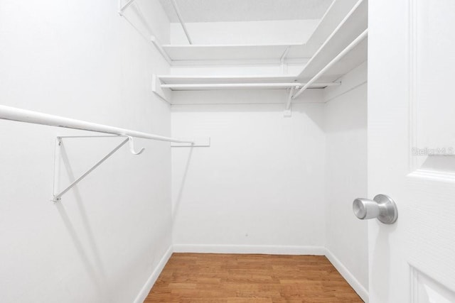 5763 Saint Christopher Dr Unit 55, Orlando, FL 32822 - spacious closet with wood finished floors