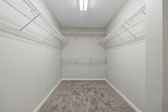 walk in closet featuring carpet