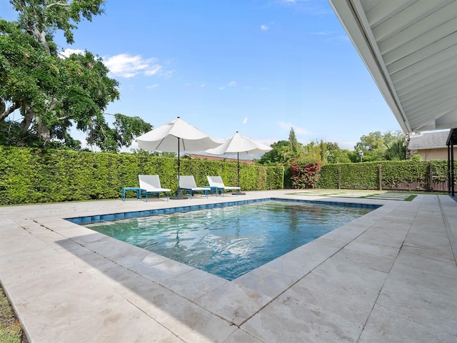view of swimming pool with a fenced in pool, a patio, and fence private yard