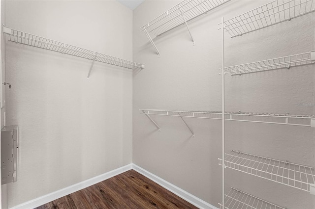 3314 Robert Trent Jones Dr Unit 308, Orlando, FL 32835 - spacious closet with dark wood-type flooring