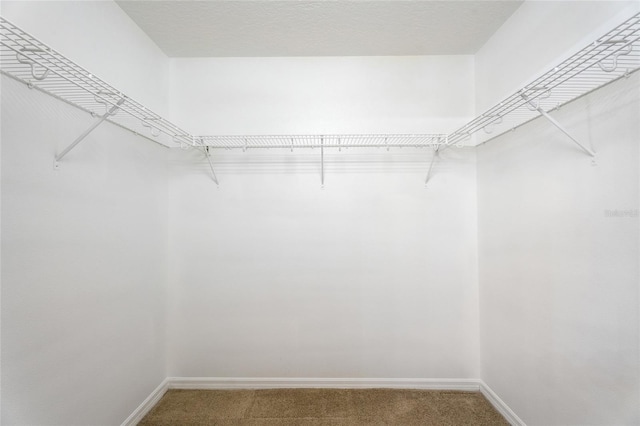 9723 Pecky Cypress Way, Orlando, FL 32836 - walk in closet featuring carpet flooring