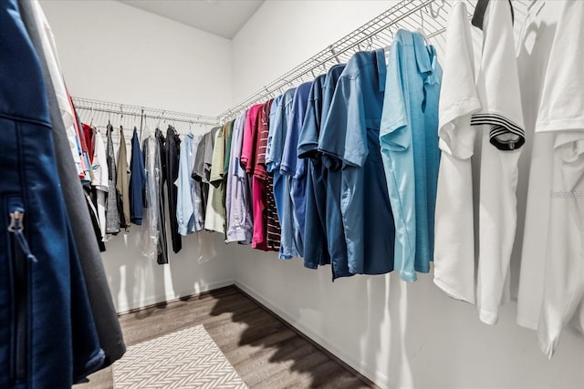 2710 Bolzano Dr, Apopka, FL 32712 - walk in closet featuring wood finished floors