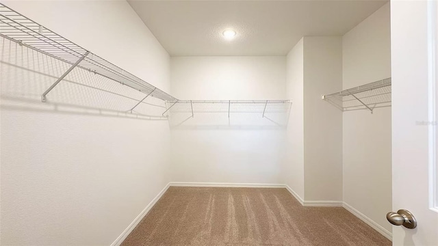 spacious closet with carpet flooring
