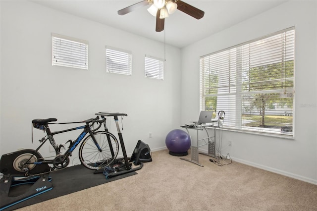 1825 Saffron Plum Ln, Orlando, FL 32828 - photo 25