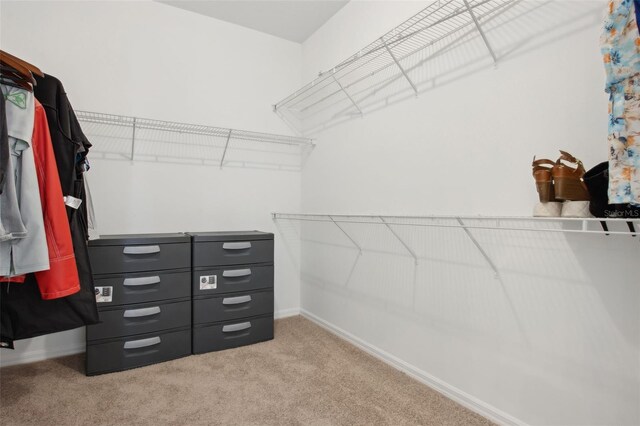 1825 Saffron Plum Ln, Orlando, FL 32828 - photo 43