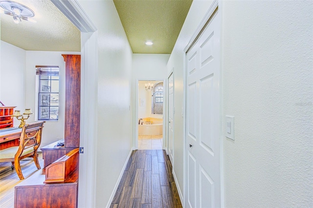 2626 Greenwillow Dr, Orlando, FL 32825 - hallway with a textured ceiling, dark wood-style flooring, baseboards, and plenty of natural light
