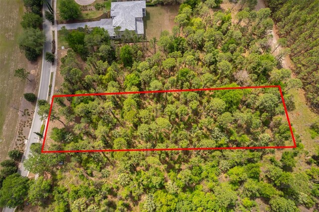 15902 Pendio Dr, Bella Collina, FL 34756 - photo 4