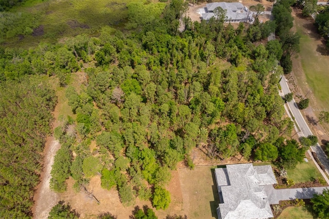 15902 Pendio Dr, Bella Collina, FL 34756 - photo 9