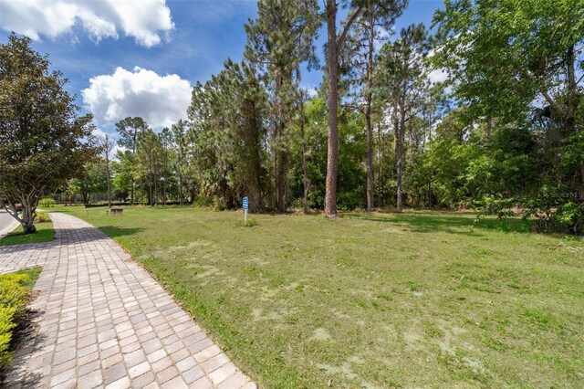 15902 Pendio Dr, Bella Collina, FL 34756 - photo 10