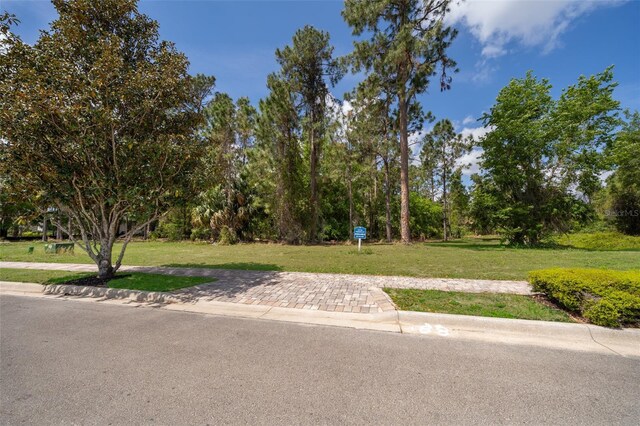 15902 Pendio Dr, Bella Collina, FL 34756 - photo 11