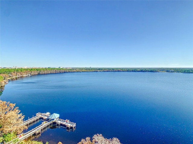 13427 Blue Heron Beach Dr Unit 1205, Orlando, FL 32821 - view of water feature featuring a boat dock