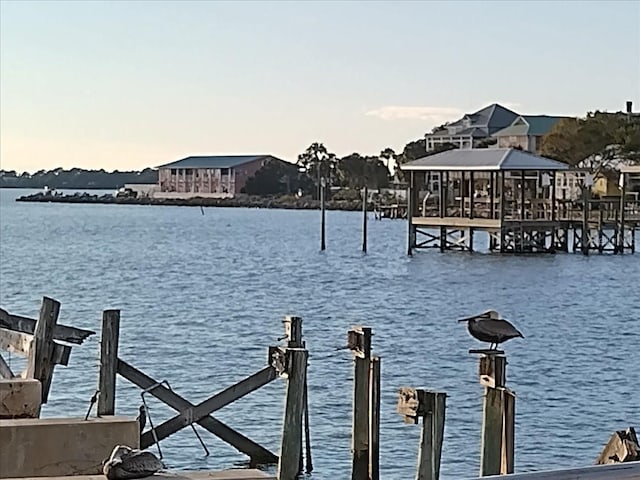 dock area featuring a water view