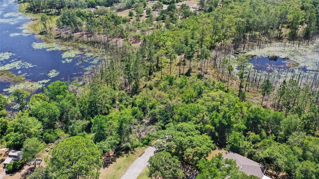 1351 Melshire Ave, Deltona, FL 32738 - photo 3