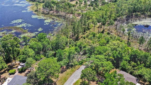 1351 Melshire Ave, Deltona, FL 32738 - photo 4