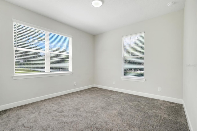7772 Sweet Star Ave, Orlando, FL 32836 - carpeted empty room with baseboards and a wealth of natural light