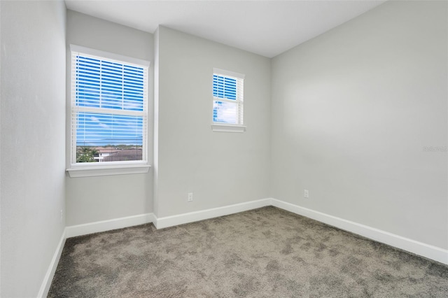 7772 Sweet Star Ave, Orlando, FL 32836 - unfurnished room with a wealth of natural light, baseboards, and carpet floors