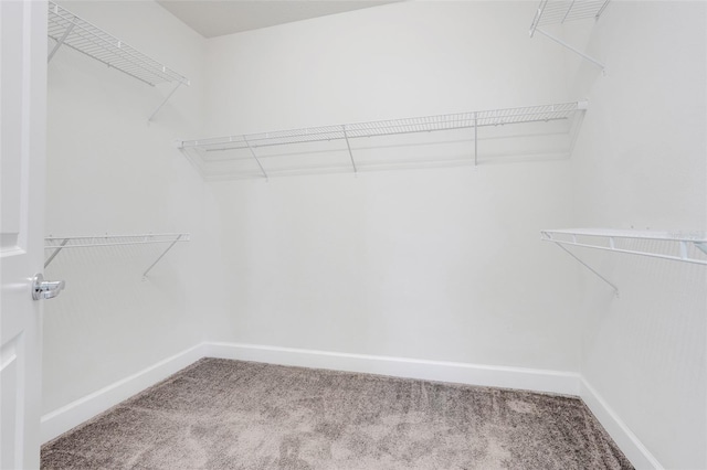 7772 Sweet Star Ave, Orlando, FL 32836 - spacious closet featuring carpet floors