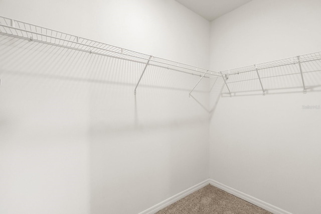 715 Chinoy Rd, Davenport, FL 33837 - spacious closet featuring light carpet