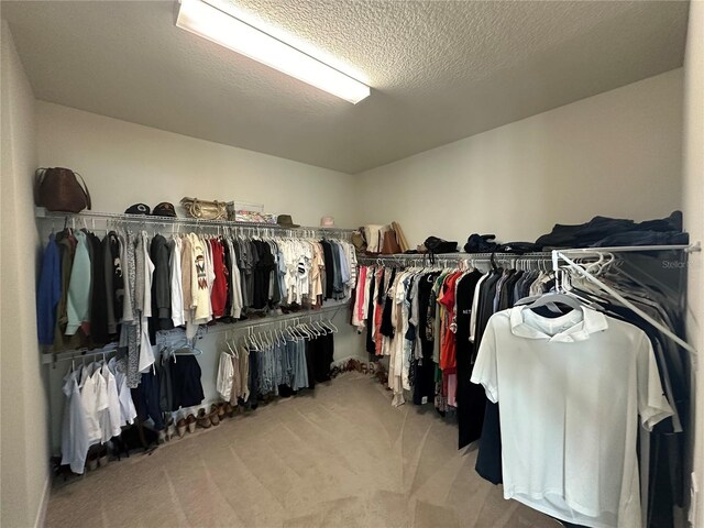 3399 Buoy Cir, Winter Garden, FL 34787 - walk in closet with carpet floors