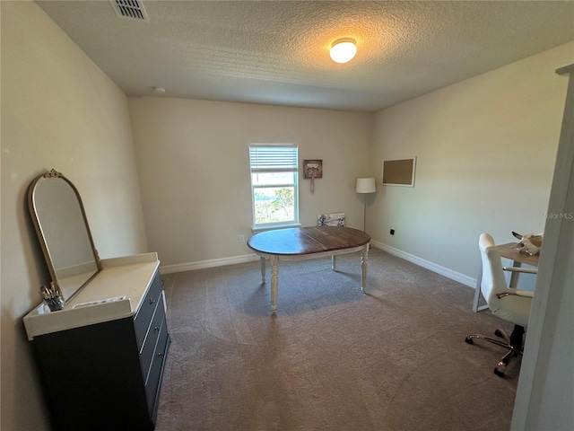 3399 Buoy Cir, Winter Garden, FL 34787 - office featuring carpet flooring, a textured ceiling, baseboards, and visible vents