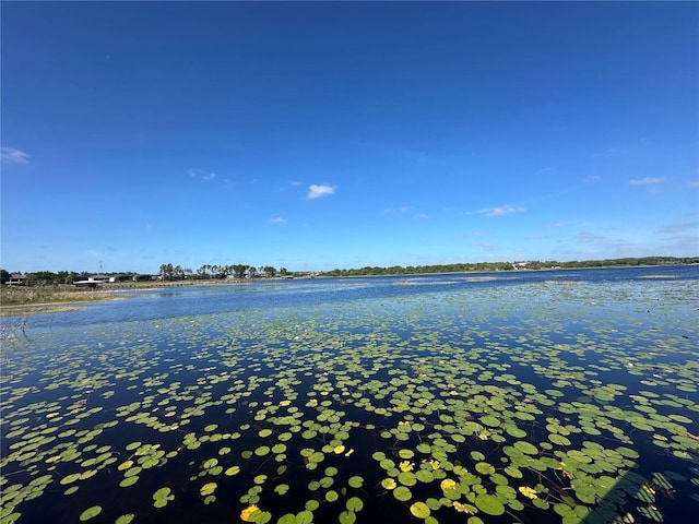 3399 Buoy Cir, Winter Garden, FL 34787 - property view of water