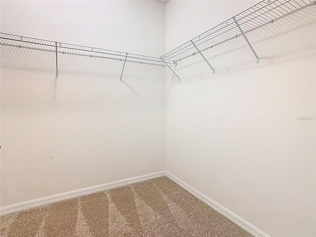 9432 Komika Ln, Winter Garden, FL 34787 - walk in closet featuring light carpet