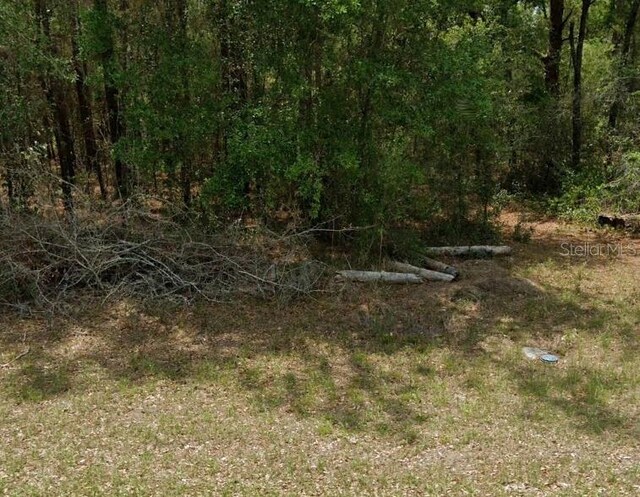 11908 Monica Dr, Citrus Springs, FL 34433 - photo 3