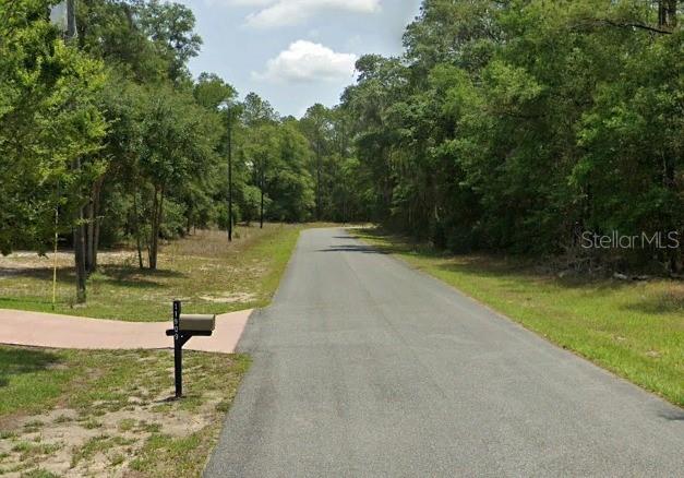 11908 Monica Dr, Citrus Springs, FL 34433 - photo 4