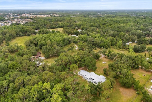 10809 Cedar Cove Dr, Thonotosassa, FL 33592 - aerial view with a wooded view