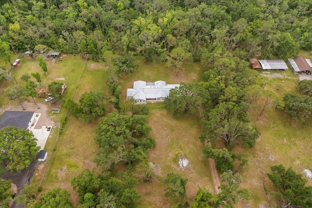 10809 Cedar Cove Dr, Thonotosassa, FL 33592 - bird's eye view featuring a forest view