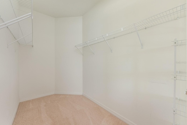 3205 Sonesta Ct Unit F, Clermont, FL 34711 - walk in closet with light colored carpet