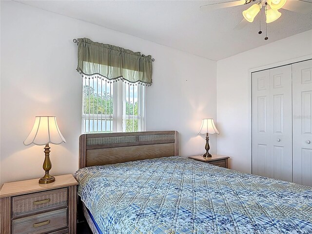 531 Albatross Dr, Kissimmee, FL 34759 - photo 25