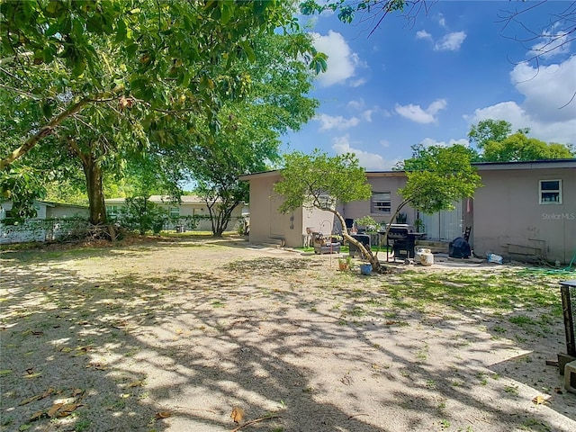 view of yard with a patio area