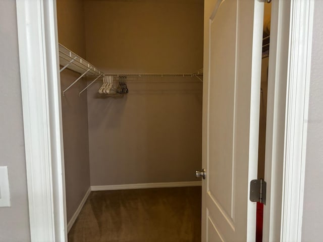 spacious closet featuring carpet flooring